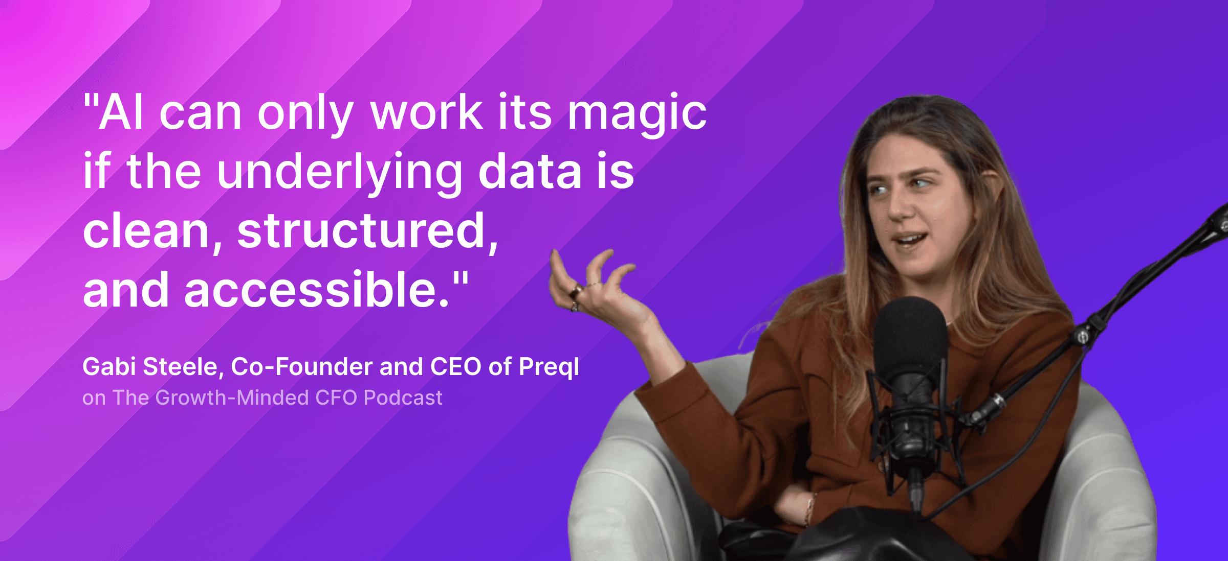 gabi steele on ai in accounting and finance